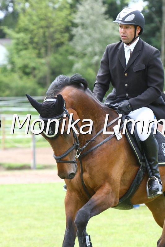 204M0637_JPs Zindy_Spr_Pferde_A.JPG